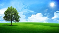 风景与绿色的树4K壁纸 3840x2160