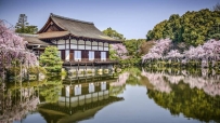平安神宫,京都,花,池塘,4K风景壁纸 3840x2160